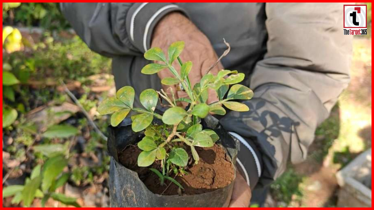 Bastar Herbs Ayodhya