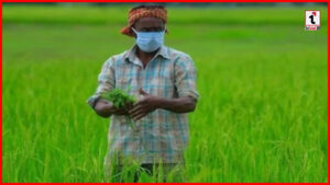 Haryana Debt Relief: हरियाणा के किसानों को बड़ी राहत, बकाया ऋणों के लिए ‘एकमुश्त निपटान योजना’ की घोषणा