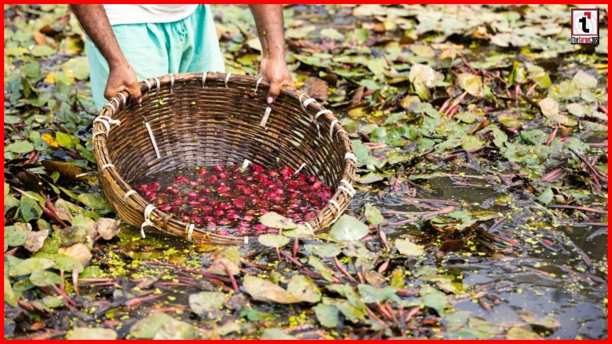 Water Chestnut Benefits