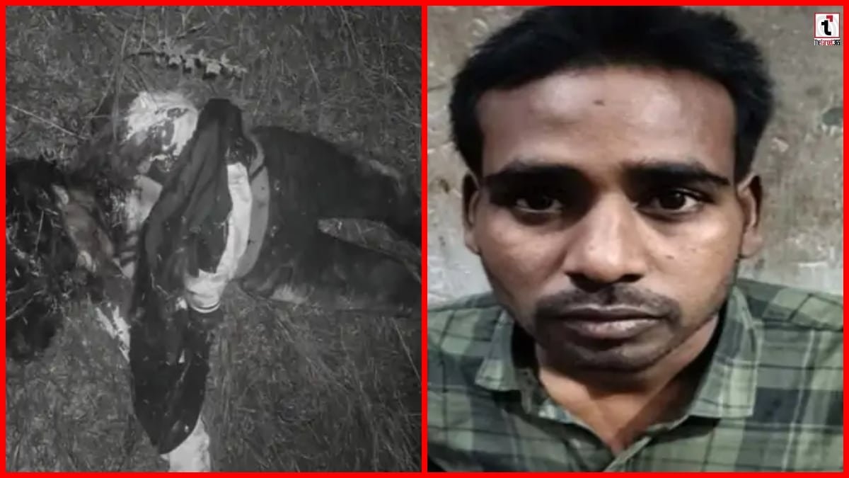 Raigarh Murder Case