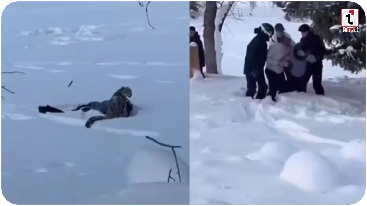 Viral Video Leopard Attack