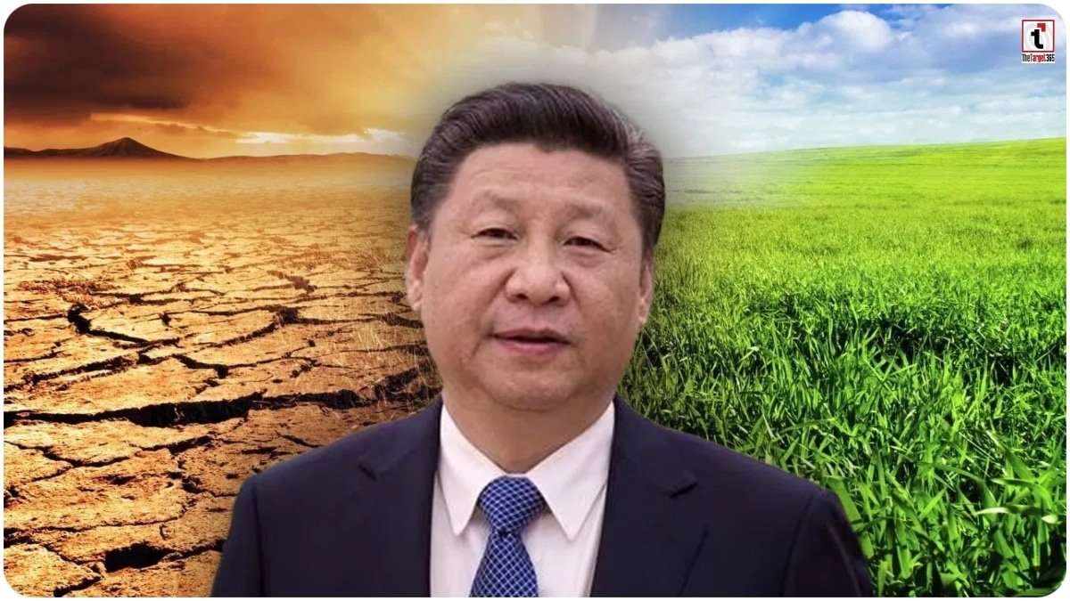 Chinese Desert Seeds