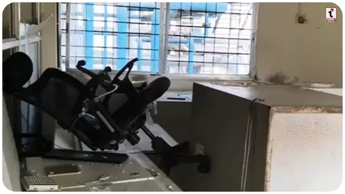 Kondagaon Maize Plant Attack