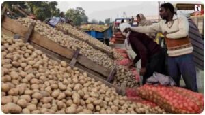 Potato Price : आलू की कीमतों में भारी गिरावट, यूपी और बंगाल के किसानों की बढ़ी परेशानी, जानें क्यों गिर रहे दाम