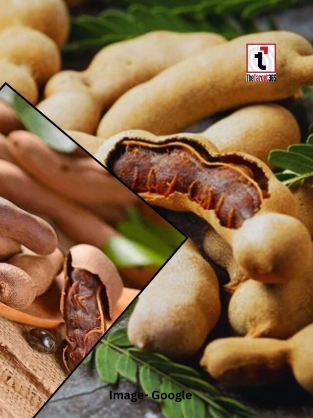 इमली खाने के फायदे जानिए