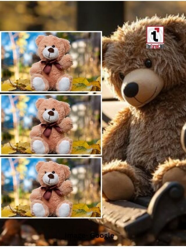 Teddy Day 2026: आपके रिश्ते के लिए कौन-सा टेडी है परफेक्ट?