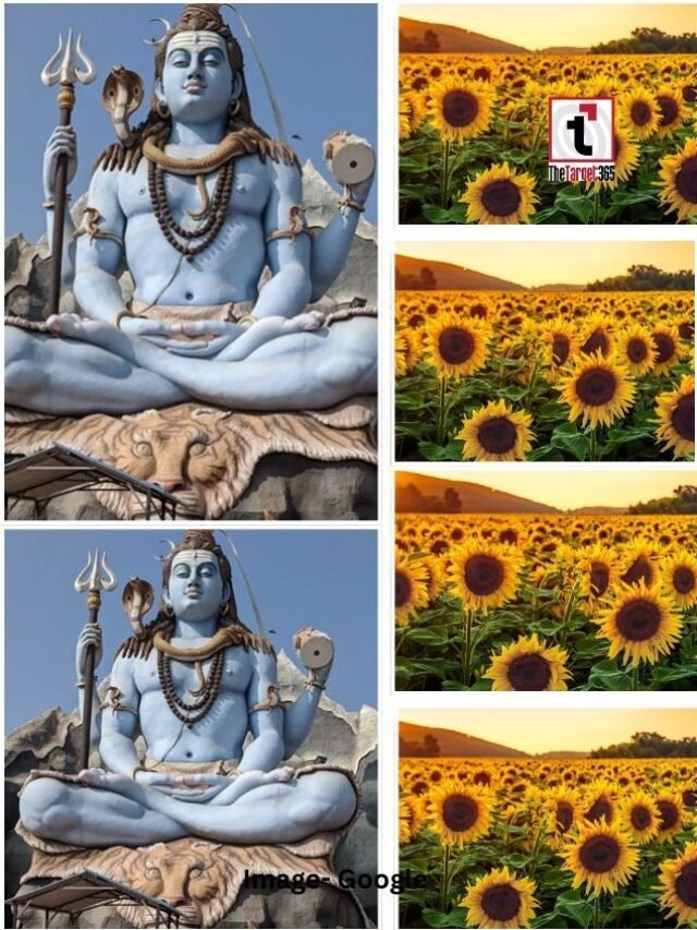 शिवरात्रि के दिन सूर्यमुखी चढ़ाने के फायदे