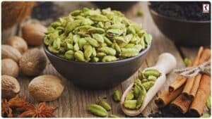 Iran Israel War : संकट में भारतीय इलायची निर्यात, खाड़ी देशों में मांग घटने से कीमतों में भारी गिरावट!