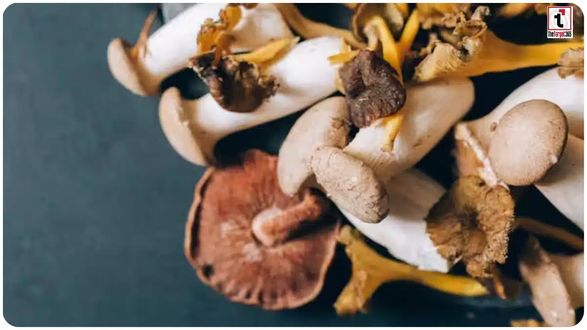 Low Investment Farming