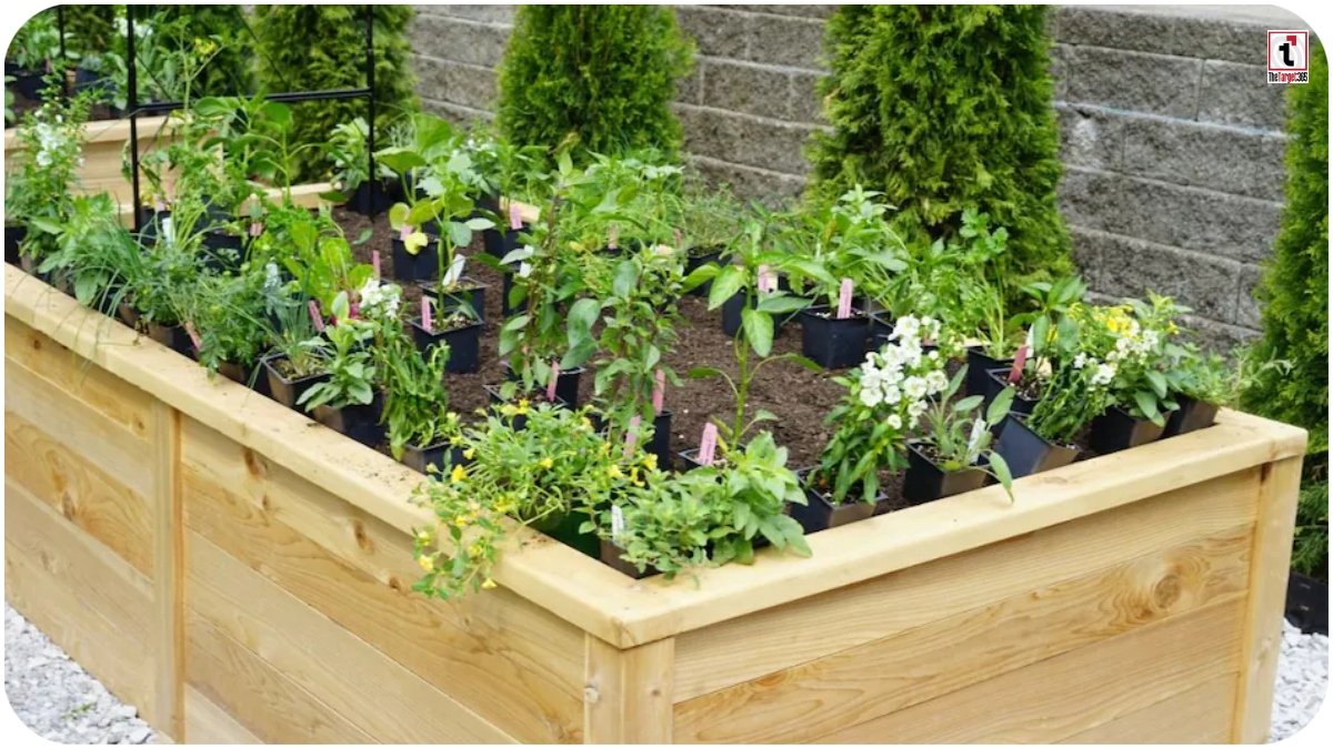 Raised Bed Gardening