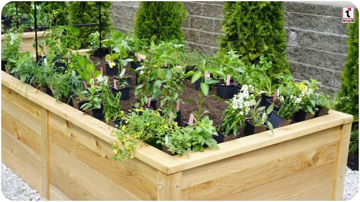 Raised bed gardening