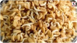 Sprouted Fenugreek Benefits
