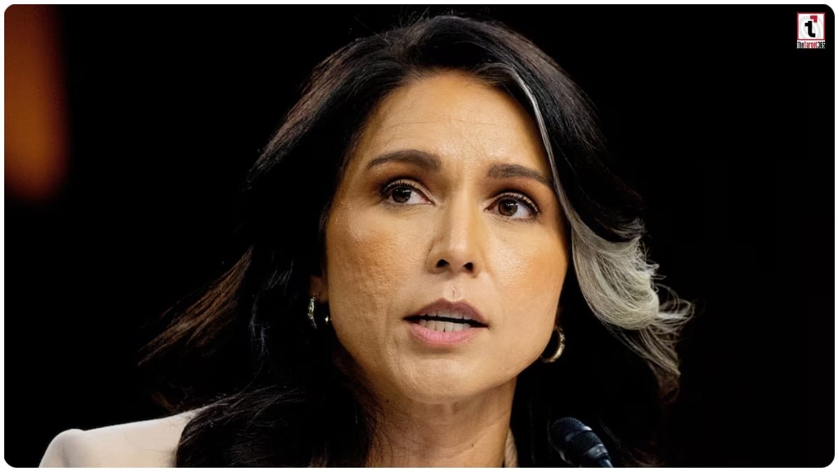 Tulsi Gabbard Warning