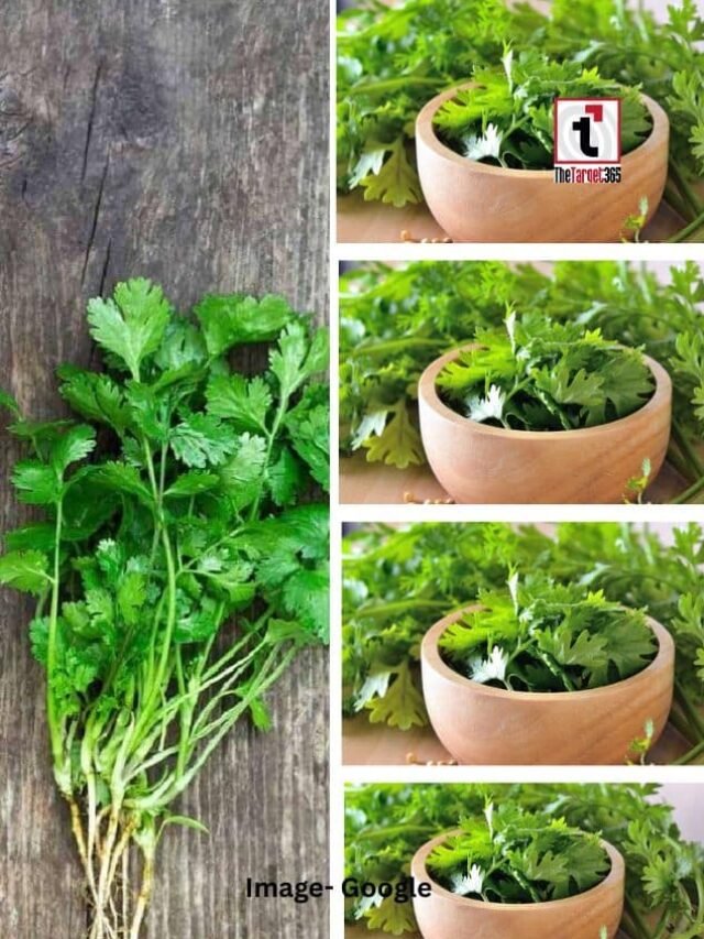 हरी धनिया खाने के फायदे जानिए