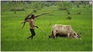 Agriculture News: फसलें नहीं सड़ेंगी! सरकार दे रही कोल्ड स्टोरेज बनाने के लिए 7.5 करोड़ की सब्सिडी, जानें आवेदन का तरीका!