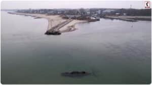 Germany Whale Rescue