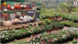 National Horticulture Mission 2026: फल-फूल की खेती के लिए सरकार दे रही भारी सब्सिडी, ऐसे उठाएं लाभ!