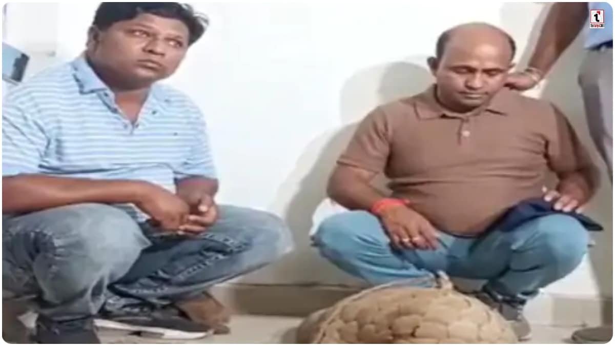 Raipur Pangolin Smuggling
