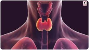 Thyroid Control Tips