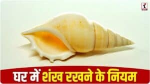 Vastu Tips: घर में शंख रखने से खिंची चली आएगी सुख-समृद्धि, बस जान लें ये 5 जरूरी नियम!
