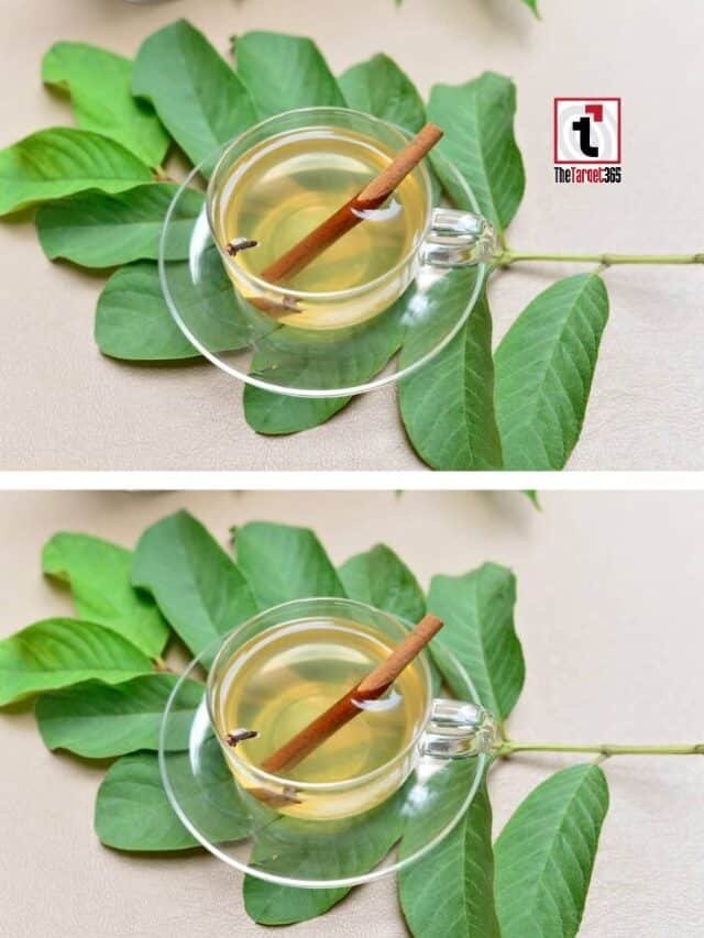 अमरूद के पत्तों की चाय पीने के फायदे जानिए