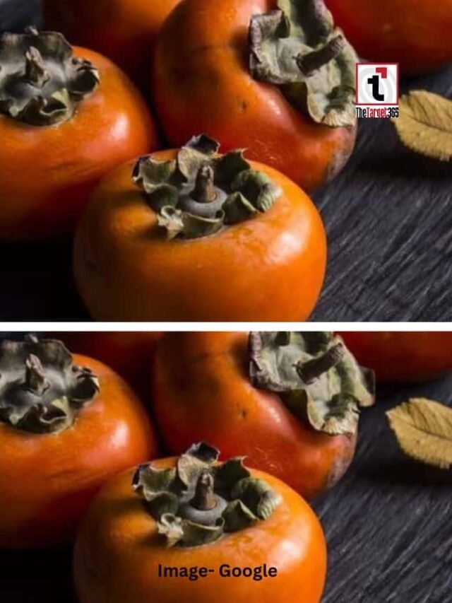 तेंदू फल सेहत के लिए कितना फायदेमंद?