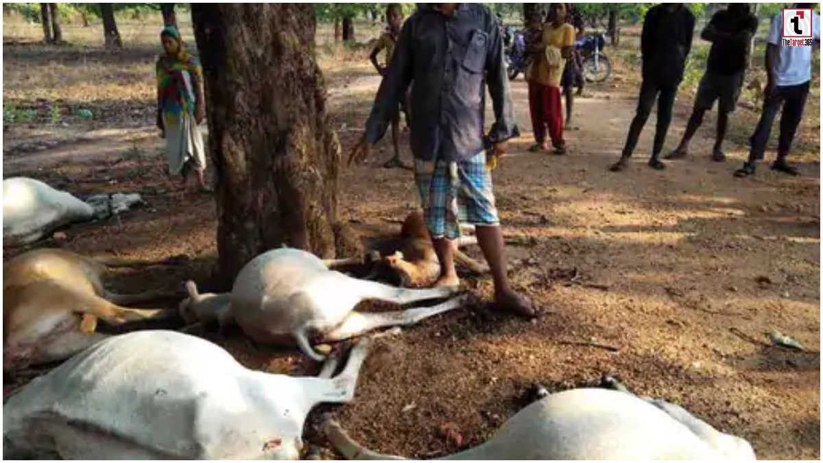 Bijapur Lightning Incident