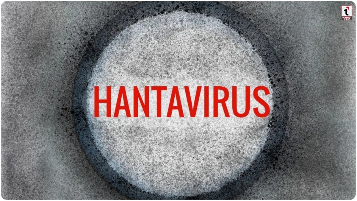 Hantavirus Cruise Ship
