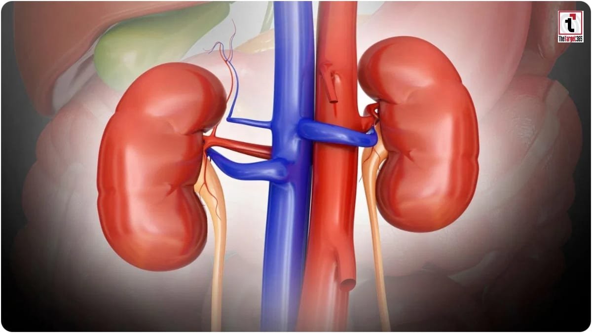Kidney Health Alert
