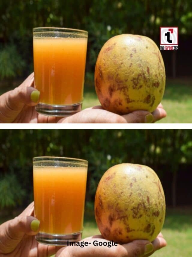 बेल का शरबत क्यों हैं फायदेमंद?