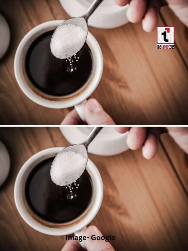 रोजाना चाय-कॉफी पीते हैं?