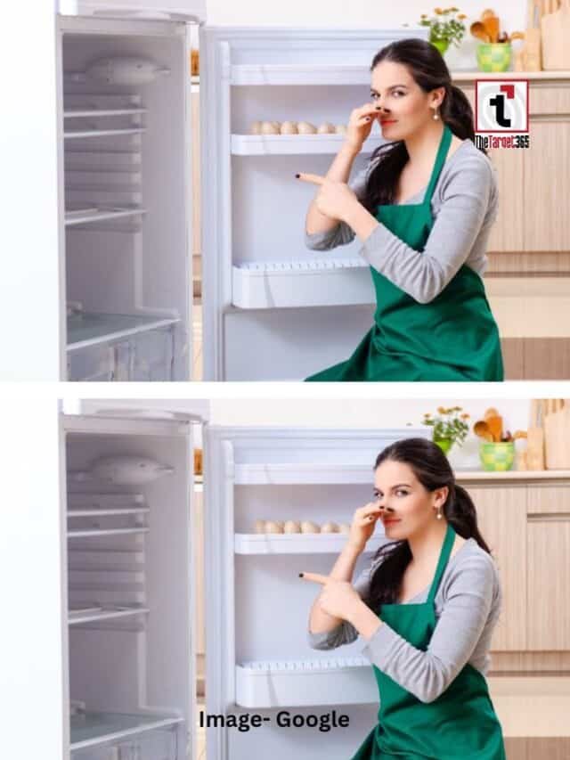 गर्मी में फ्रिज से आने लगी है बदबू?