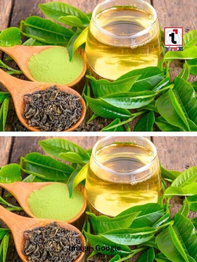 सुबह ग्रीन टी पीना बेहतर है या रात में?