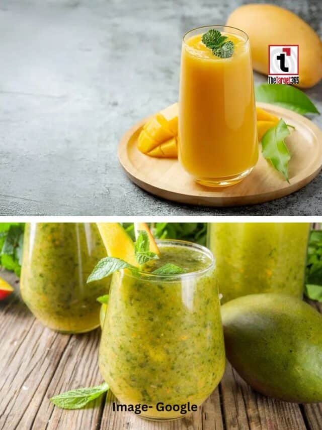 आम पन्ना पीने के फायदे जानिए
