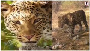 Asola Bhatti Wildlife