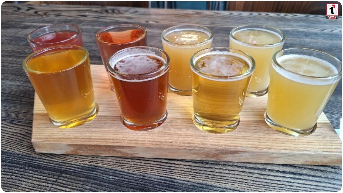 Chhattisgarh Microbrewery