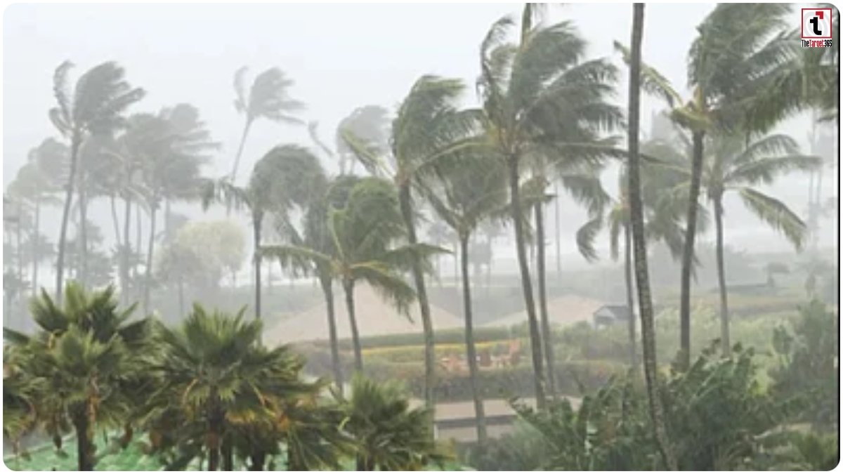 Chhattisgarh Monsoon