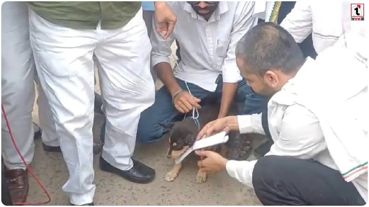 Congress Protest