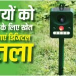Digital Scarecrow : डिजिटल पुतला बना किसानों का सहारा, खेतों को पंछियों से बचाने का सस्ता आधुनिक उपाय