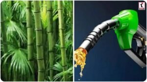 Ethanol Allocation