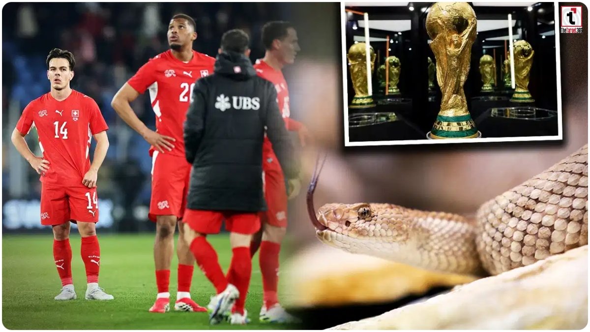 FIFA World Cup 2026