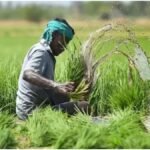 Farmer Relief Scheme : राजस्थान फसल मुआवजा योजना, प्राकृतिक आपदा में किसानों को मिलेगा ₹22,500 तक मुआवजा