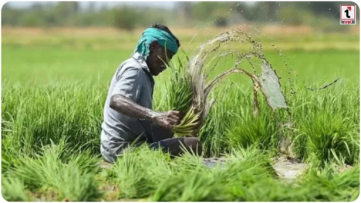 Farmer Relief Scheme