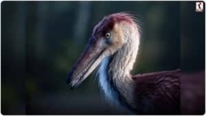 Heron Like Dinosaur