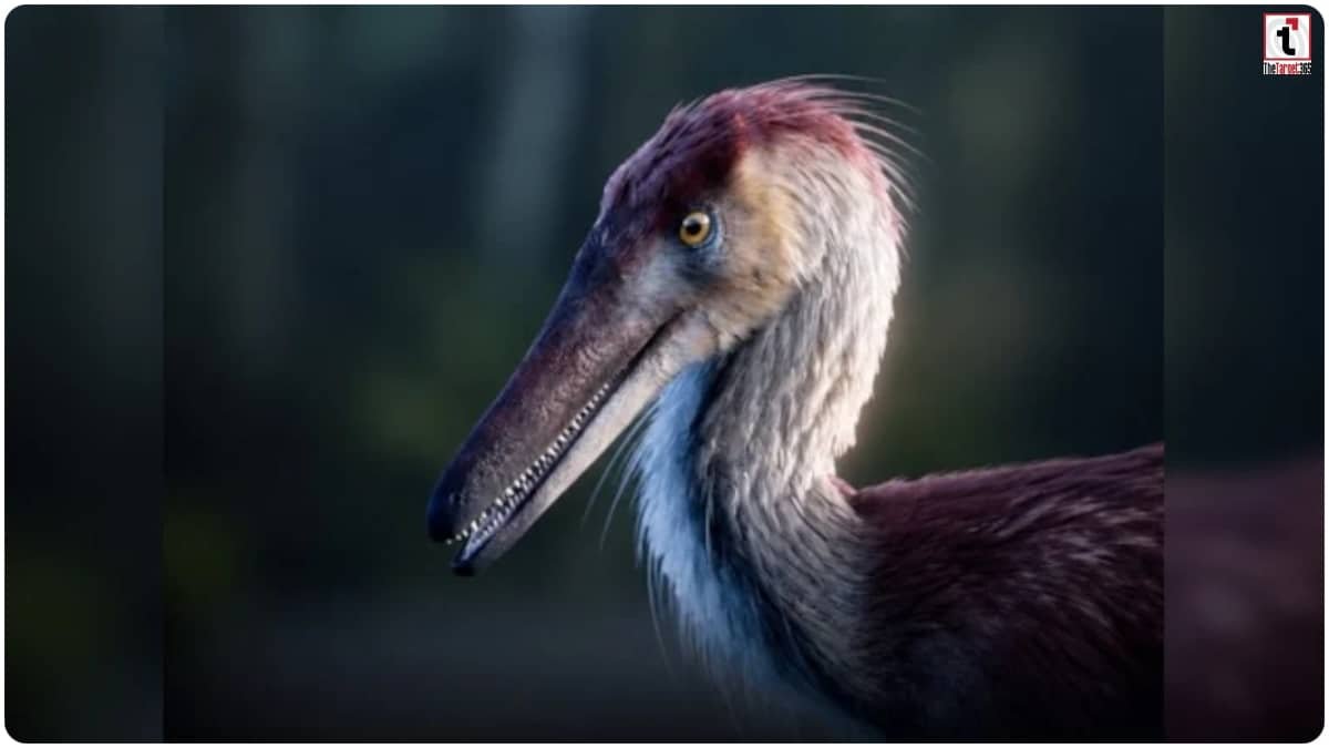 Heron Like Dinosaur