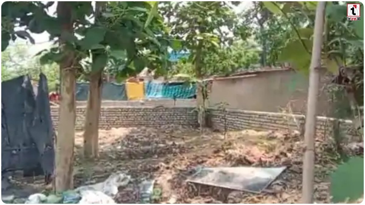 Korba Land Mafia