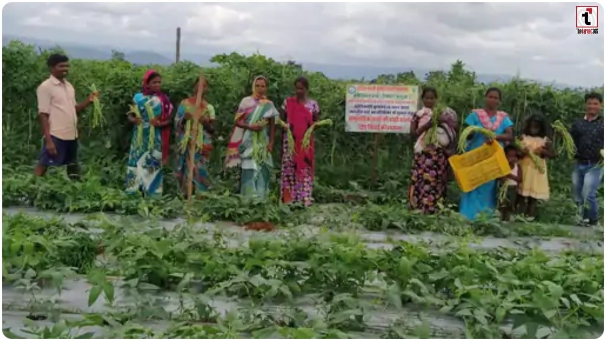 Organic Farming