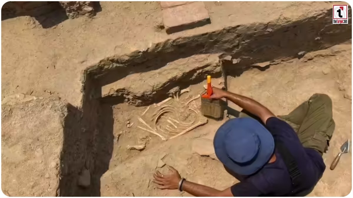 Rakhigarhi DNA Study