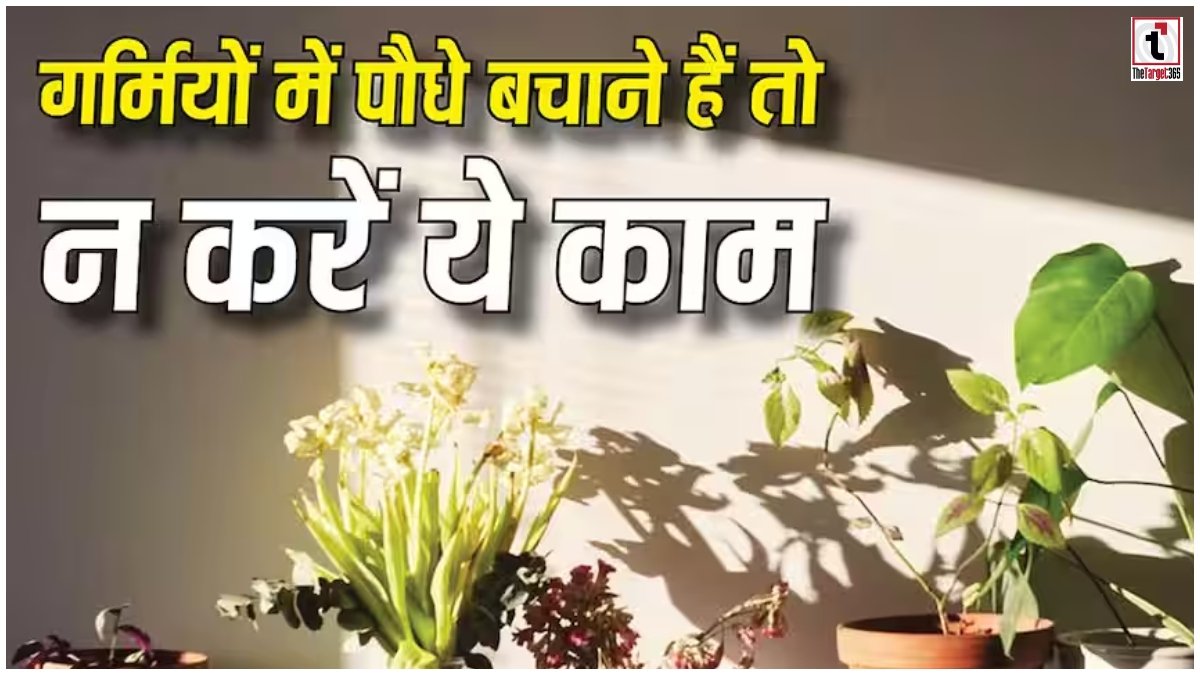 Summer Gardening Tips