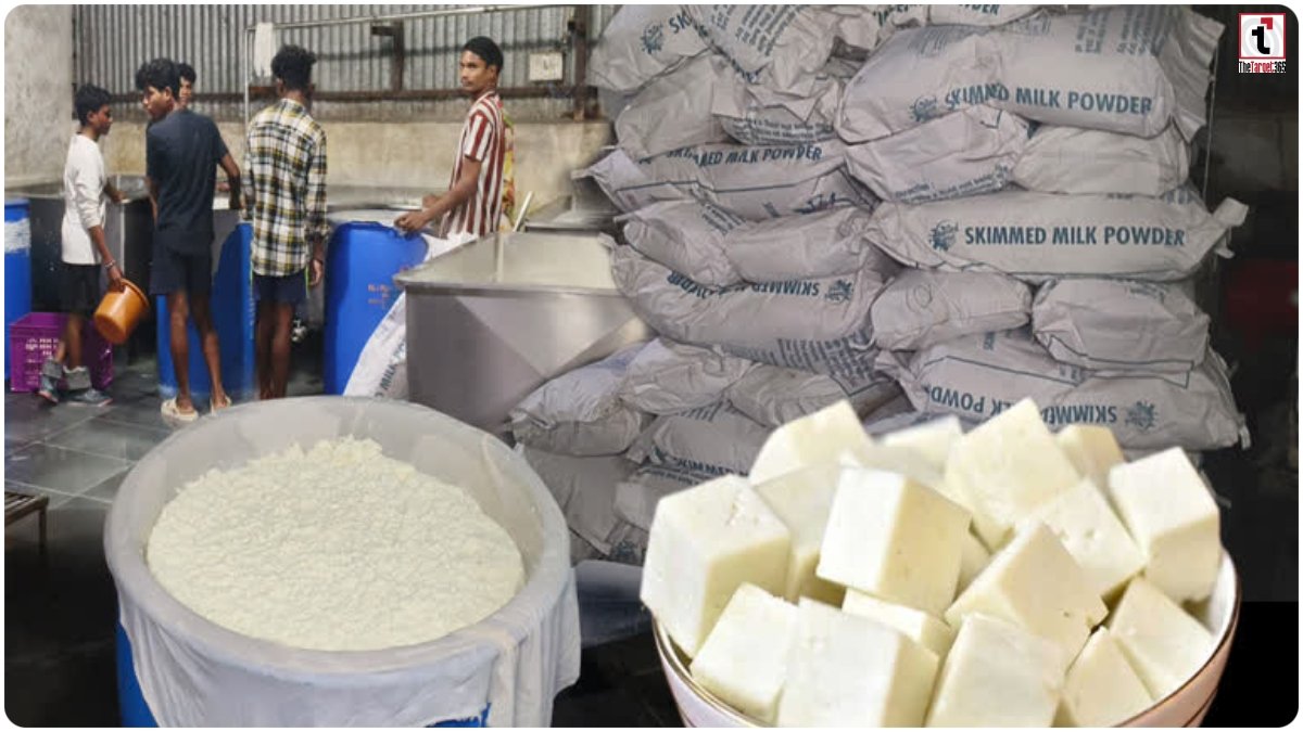 Synthetic Paneer